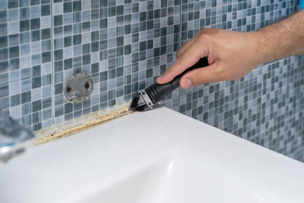 Trusted South Eliot, ME Mold Remediation Experts